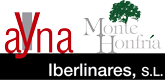 Logo Iberlinares